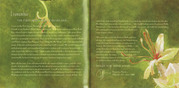 CD booklet 2-3, US